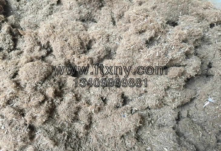 粉碎機粉碎后的桉樹皮原料